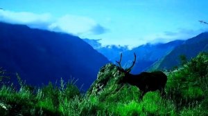 Саяно-Шушенский заповедник.