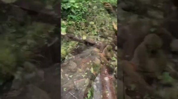 Hanging Gardens of Bali или Висячие сады Бали.