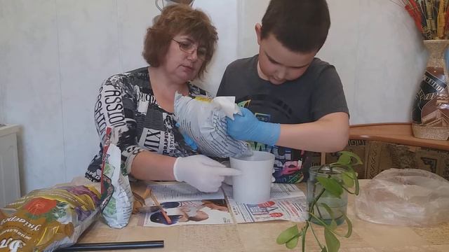 САДИМ ЦВЕТОК В ГОРШОК смотреть онлайн