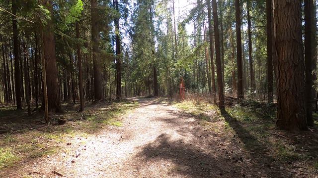 ✅Meyra Optimus 2 Тропа на родник