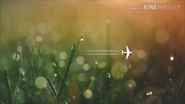 Красивые фоны от инно смотреть онлайн