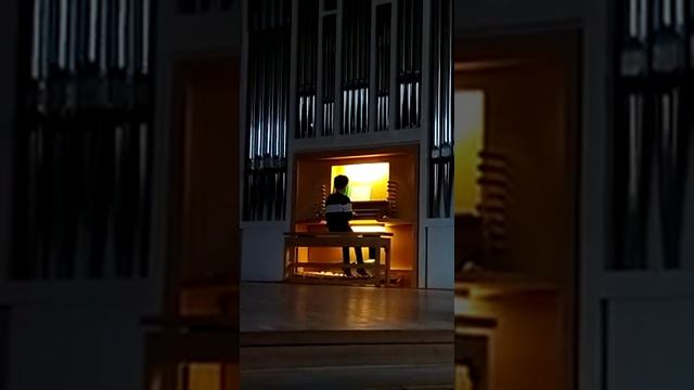 Занятие в классе органа, 24 октября 2021 г. смотреть онлайн