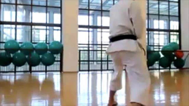 JKA Karate Shotokan Kyokai Berlin JKA Karate Online Training 01 06 21 Mit Igor Sensei