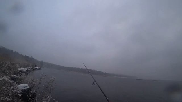 рыбалка на чёрной речке Зеленогорск 23.11.2021 смотреть онлайн