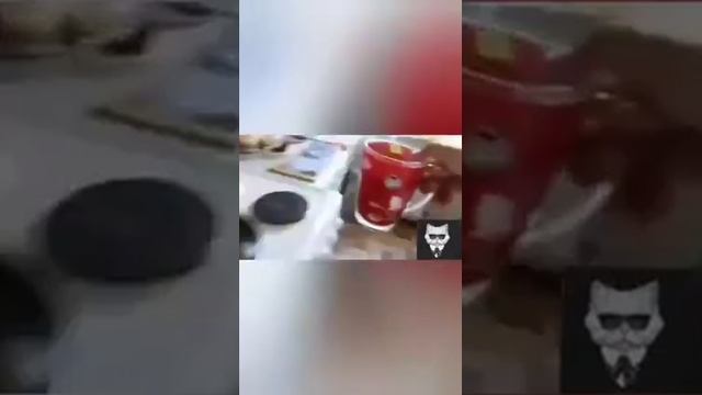 делаем капсулу времени до следующего лета. До 2022 года. смотреть онлайн