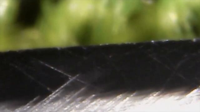 Заточка опасной бритвы Голд Доллар Gold Dollar GD straight razor sharpening смотреть онлайн