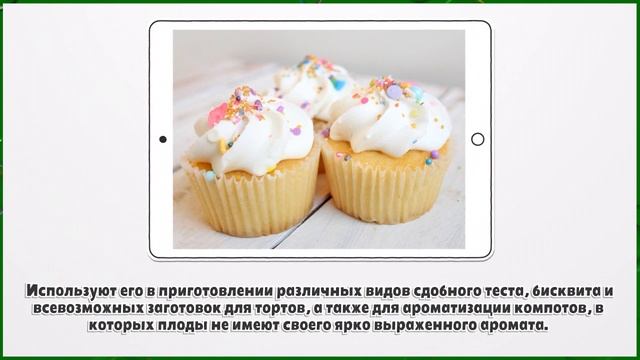 ВАНИЛЬ ИЛИ ВАНИЛИН — В ЧЕМ РАЗНИЦА? смотреть онлайн