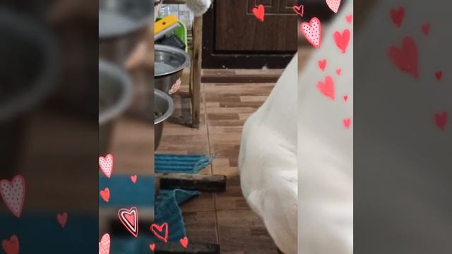 Чем отличается завтрак 2023 от завтрака 2022 года?