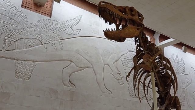 Поехали в Москву с Ангелиной в палеонтологический музей им.Ю.А.Орлова. Музей динозавров. смотреть онлайн