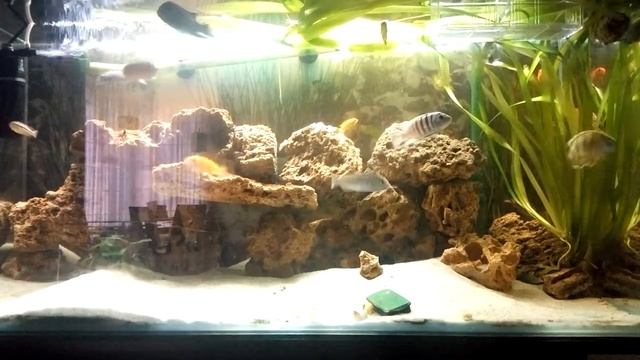 Мой малавийник 200 литров смотреть онлайн