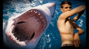 Самые большие хищные рыбы на планете в океане