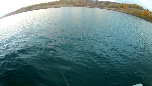 Attack big pike on Rapala Twitchin Rap 12 in black & red color/Vlasinsko jezero/Novembar смотреть онлайн