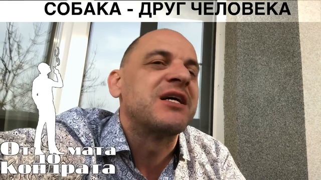 СОБАКА - ДРУГ ЧЕЛОВЕКА смотреть онлайн