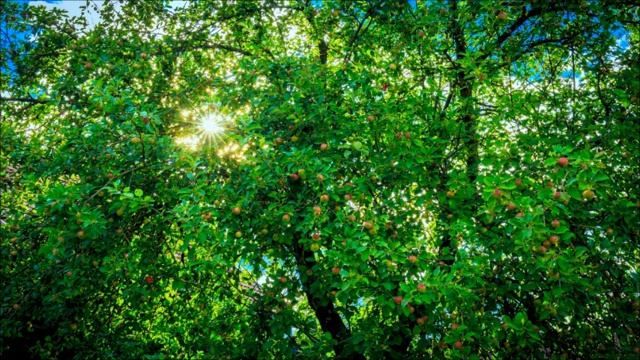 Помощь во спасение.  Как Материнская Душа пытается помочь своим детям.