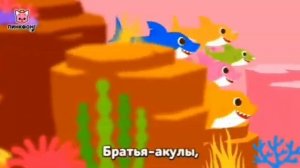 Акулёнок туруру туру| Песни про Животных | Семья Акул | Песни для детей |?❤