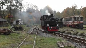 Мини-паровоз 1932 года. Надежная техника работает почти 100 лет.