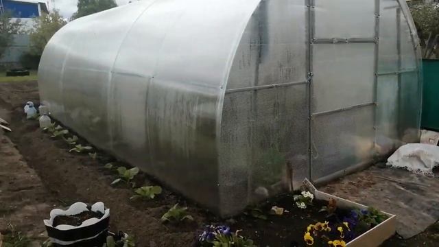 САД ОГОРОД СВОИМИ РУКАМИ