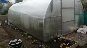 САД ОГОРОД СВОИМИ РУКАМИ