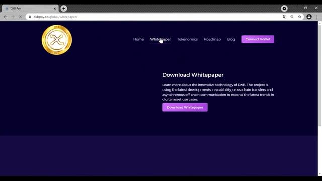 DXB PAY // Обзор проекта смотреть онлайн