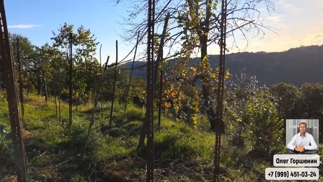 Сочи. Земельный участок до 2,5 млн. | НЕДВИЖИМОСТЬ СОЧИ смотреть онлайн