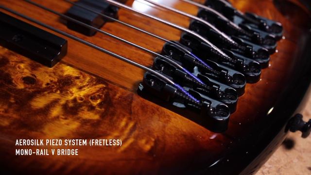 Ibanez SR "ASHULA" featuring Franck Hermanny - 7-string fretted/fretless hybrid bass смотреть онлайн