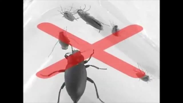 звуковой отпугиватель комаров в квартире как избавиться смотреть онлайн