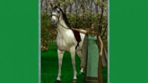 Руна Эвас+Медитация (часть 19)