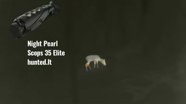 Night Pearl termovizorius Scope 35 Elite смотреть онлайн