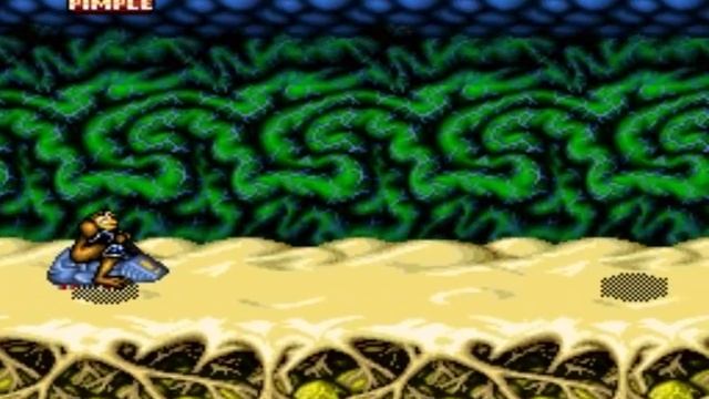 Battletoads In Battlemaniacs