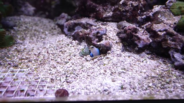 HIJ WIL ZIJN EXCUSES AANBIEDEN! 3 WEKEN NIET GEZIEN.. смотреть онлайн