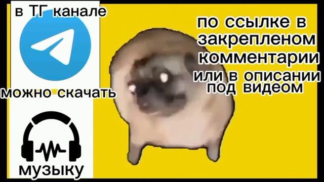 песня про "Шпица собаку" смотреть онлайн