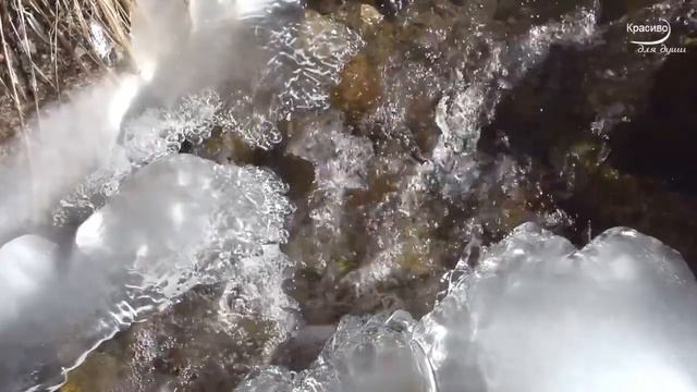 ВО ДНИ РОЖДЕСТВА ХРИСТОВА смотреть онлайн