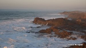 Прибыв по вызову на свадьбу к дочери миллионера, врач скорой заметила у жениха странность. А когда.