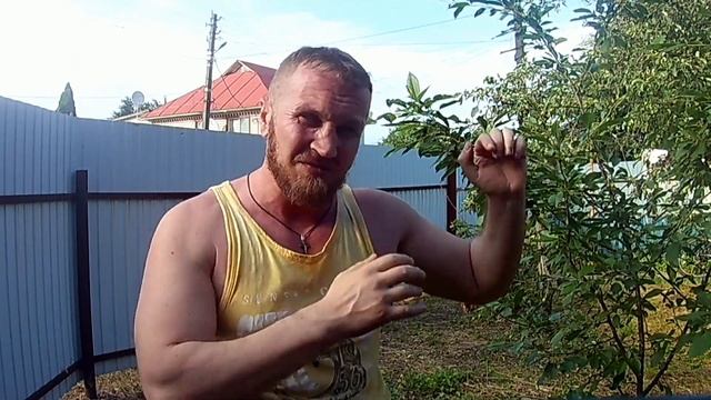 Самое травмоопасное и ненужное упражнение смотреть онлайн