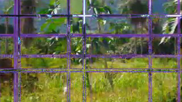 Mimoso 23 12 2007- 2/3 смотреть онлайн