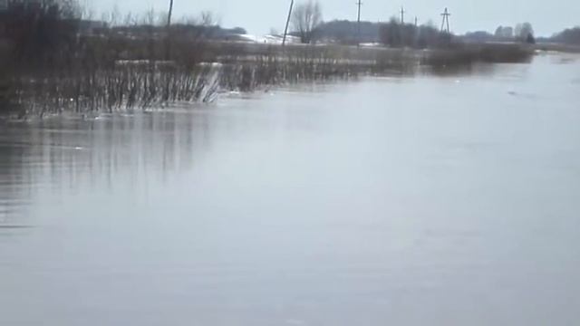 Алтайский край 13.04.2015 смотреть онлайн