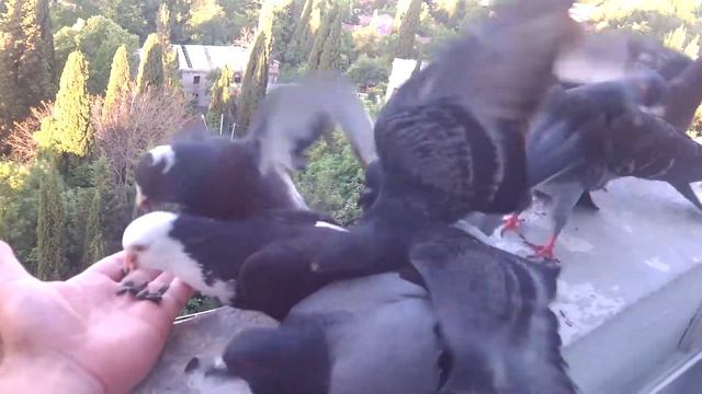 На балконе смотреть онлайн