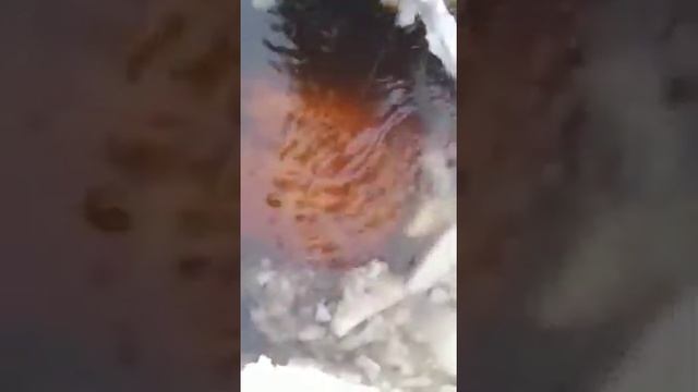 ПОЛНЫЙ ФИТИЛЬ РЫБЫ?ВОТ ТАК УЛОВ !! смотреть онлайн