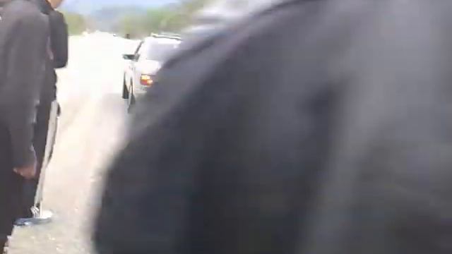 Гонки алагир.mp4 смотреть онлайн