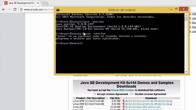 Instalación Java JDK 8 en Windows смотреть онлайн
