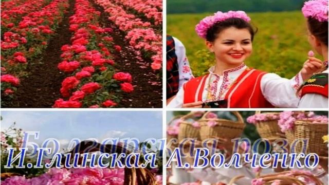 Болгарская роза Сл:И.Глинская Муз:А.Волченко смотреть онлайн