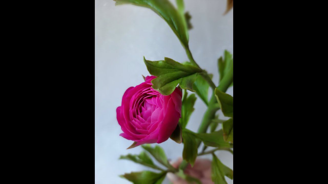 Ранункулюс из холодного фарфора. Часть 2. Бутоны.