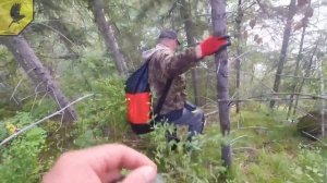 Рыбалка в Горном Алтае рядом с дачей Путина