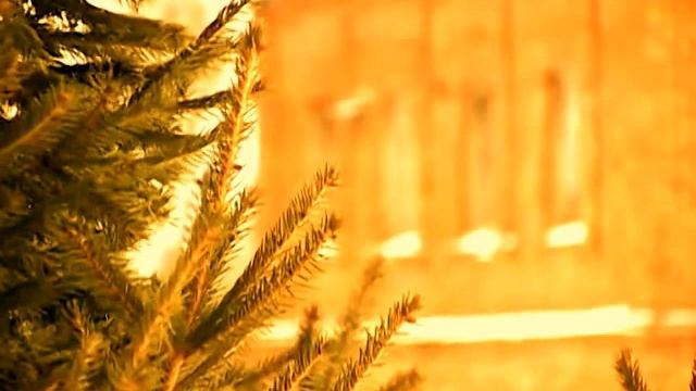 Провинциалы. Монастырь Ксении Петербургской в Долбенкино смотреть онлайн