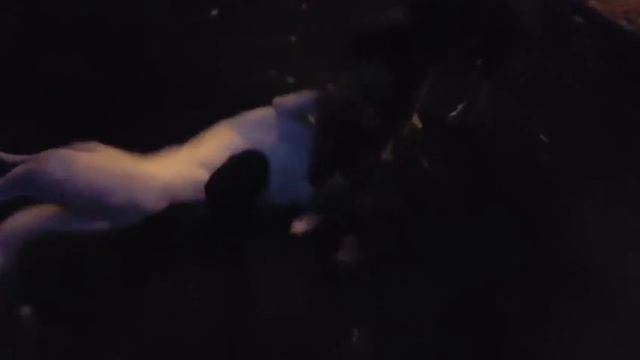 Мотильда и мася (МОНТАЖ ЛУЧШИХ МОМЕНТОВ) смотреть онлайн