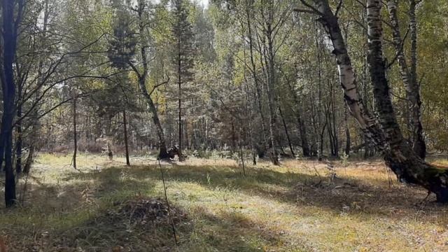 Природа Мордовии. смотреть онлайн