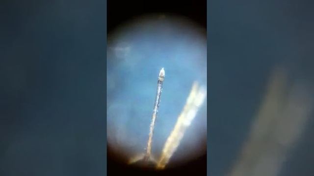 Хобот комара под микроскопом смотреть онлайн