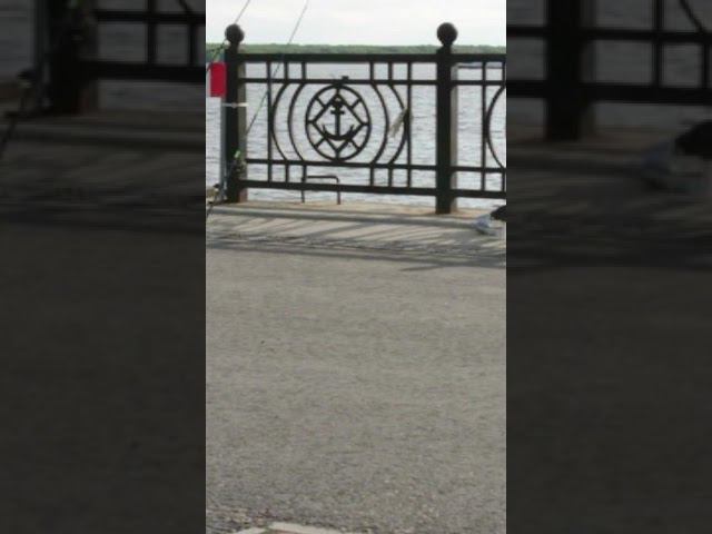 14 августа 2018 г. смотреть онлайн