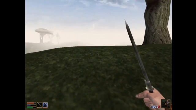 Morrowind Episode 7 - Flower Picking смотреть онлайн