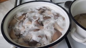 Соленые грибы за сутки! Засолка вешенки горячим способом! БЕЗ УКСУСА!Выращивание вешенки дома!СТИХи